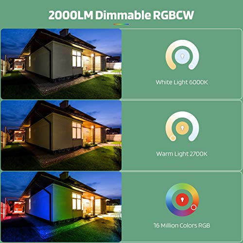 Smart RGB Flood Light with App Remote Control, Dimmable LED Flood Light