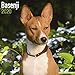 Basenji Calendar - Dog Breed Calendars - 2019 - 2020 Wall Calendars - 16 Month by Avonside (Multilin by 