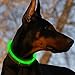 Bseen AG13 Button Battery NO USB Cable LED Dog Collar Cuttable Water Resistant Glowing Dog Collar Light Up Pet Necklace Loop for Small, Medium, Large Dogs (Green)