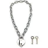 Succuba Padlock Necklace Chain Collar Choker with Two Keys and Box for Women, Men and Pet