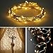 Solar Outdoor String Lights,Eonfine Fairy String Lights on Flexible Copper Wire 72ft 150 LED Ambiance Lighting for Outdoor, Gardens, Homes, Christmas Party-- 2 Modes (Steady on / Flash) Warm White