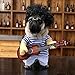 Teddy Dog Halloween Costume Cute Funny Pet Guitar Player Dress Up Party Clothes, M