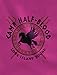 TeeStars Women's - Camp Half Blood Hoodie Large Grey