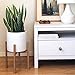 STNDRD. Bamboo Plant Stand Indoor, Fits 10 inch Planter for Indoor Plants, Tall & Modern
