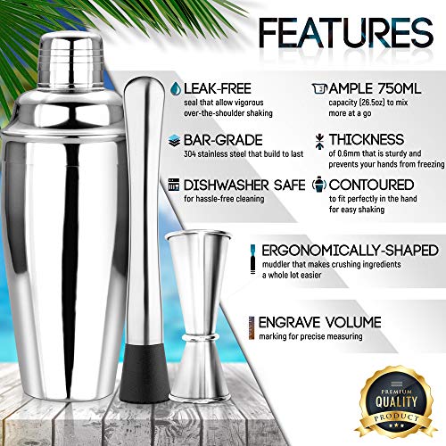 Bar Tools Bartender Tool Kit with Bonus Bar Mat (11 Piece) | Premium Bar Sets for The Home | Stainless Steel Cocktail Shaker Set and Bar Cart Accessories | Drink Mixer with Wooden Stand (Silver)