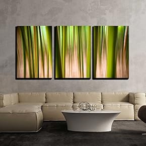 3 Piece Canvas Wall Art - Abstract Nature Landscape Background Motion Blur Effect Bamboo Forest Texture - Modern Home Art Stretched and Framed Ready to Hang - 16"x24"x3 Panels