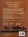 Adams and Stashak's Lameness in Horses