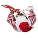 Kurt S. Adler Kurt Adler 11-Inch Fabriché Gingerbread Santa Decorating Wreath