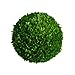 Mills Floral Preserved Boxwood Ball 16