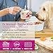 Dr. Harvey's Emune Boost Herbal Immune System Supplement for Dogs, Holistic Formula (7 Oz)