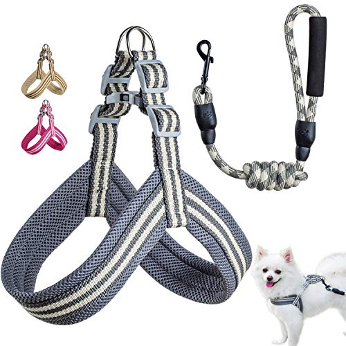 Wealer Dog Harness Leash and Set for Small and