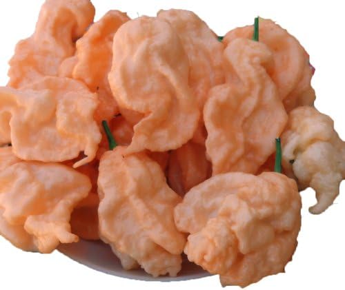 Jay's Peach Ghost Scorpion Pepper Seeds 15 Seed Pack by OrganicSeedSupply