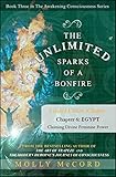 The Unlimited Sparks of a Bonfire eChapter 6: Claiming Divine Feminine Power by 