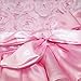 iEFiEL Baby Girls Embroidery Short Sleeves Sequins Bowknot Princess Pageant Wedding Communion Birthday Party Dress (6-12 Months, Pink Tutu + Headband)