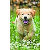Puppies Pocket Planner 2 Year (2019) by