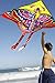 Hengda Kite So Beautiful Peony Butterfly Kite Single Line Kite Incudes 30m String and Handle