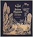 The Land of Stone Flowers: A Fairy Guide to the Mythical Human Being (Whimsical Books, Fairy Books, by 