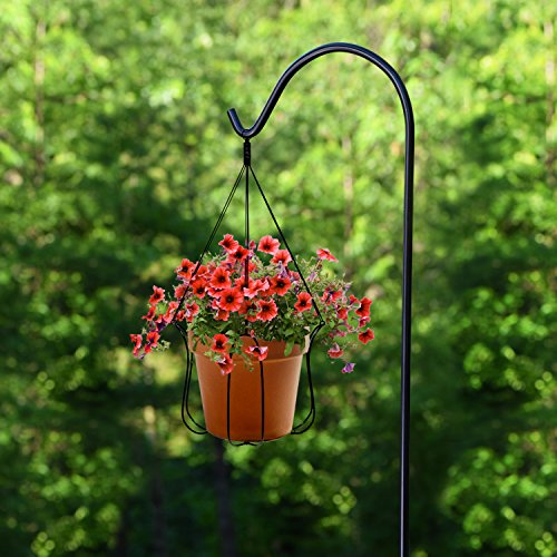 1 Shepherd+Resistant+Hanging+Baskets+Lanterns