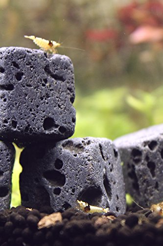 6 Eco Bricks - Water Clarifying Aquarium Decor Stones - 100% Natural Lava Rocks
