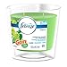 Febreze Candle Gain Original, 4Ct (Old Version)