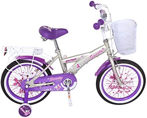 bronco bike 16