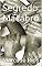 Livro Segredo Macabro