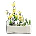 CYS EXCEL Glass Rectangle Vase. H-4