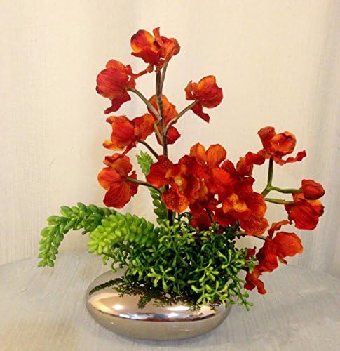 Vanda Orchid and Succulent Plant Arrangement in Silver Ceramic Vase, Office Home Decor Plant for Gift, Handcrafted at the Floral mart