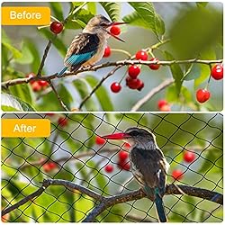 Bird Netting 25'x50' with 2.4" Square Mesh Garden