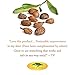 Whipped African Shea Butter Cream - Pure 100% All Natural Organic Moisture for Soft Skin and Natural Hair - Body Butter Improves Blemishes Stretch Marks Scars Wrinkles Eczema & Dermatitis (8 oz)
