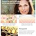 Face Skin 24 K Gold Ampoule Anti-Wrinkle Anti-Aging Serums For Reducing Fine Lines+Brightening Skin Tone+Anti-Oxidant+Nourishing Whitening Firming