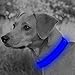 Domagiker LED Dog Collar Rechargeable - Waterproof Light Up Dog Collars, Adjustable Glow in The Dark Pet Collar, Safety Dog Lights for Night Walking (Large, Blue)