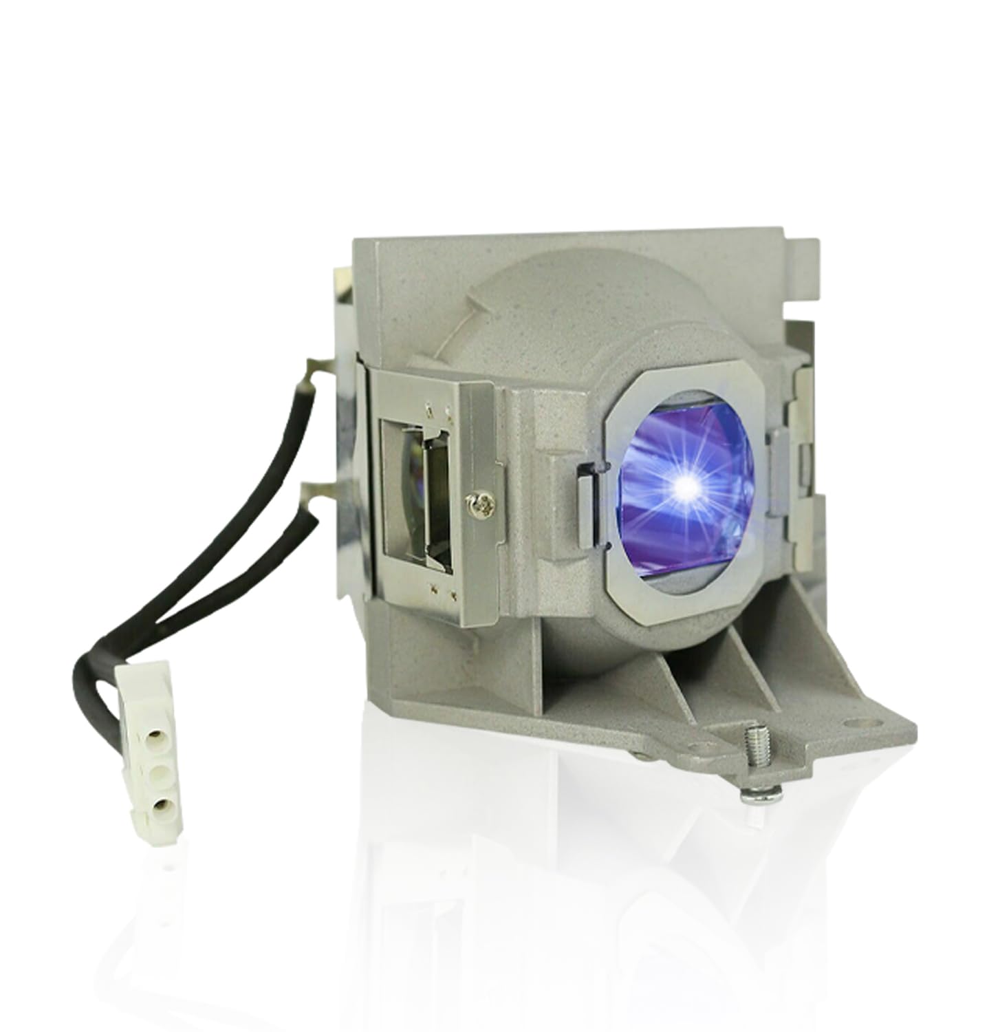 Poxtedsr Replacement Projector Lamp Bulb with Housing Compatible withRLC-100