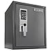 First Alert 2077DF Anti-Theft Safe with Digital Lock, 1.2 Cubic Foot, Grey