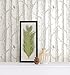 NuWallpaper NU2081 The Forest Peel & Stick Wallpaper 20.5