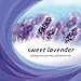 Purex Fabric Softener Dryer Sheets, Sweet Lavender, 40 Count