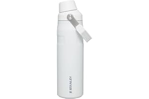 Stanley IceFlow Fast Flow Water Bottle | Angled Spout Lid | Lightweight & Leakproof for Travel & Sports | Insulated Stainless Steel | BPA-Free