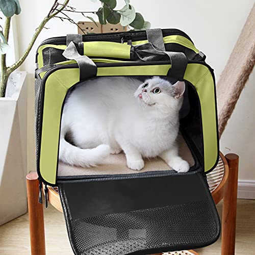 Pet Carrier TSA Airline Approved Cat Carrier Soft Sided Dog Carrier Collapsible Travel Bag for Small Dogs, Medium Cats up to 15 Lbs (6.8 kg), 16.5\