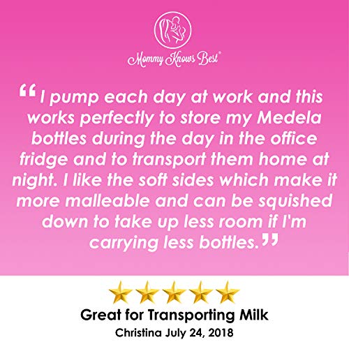Baby Bottle Breastmilk Cooler Bag - Insulated Breast Milk Storage for Breastfeeding Moms - Fits Into Medela Breastpump Tote ...