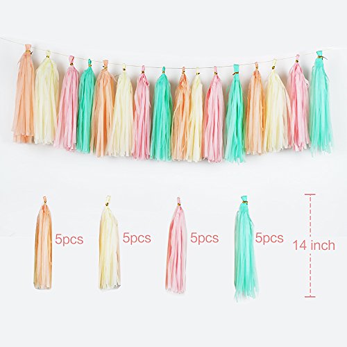 Girls Birthday Decorations, Pom Poms Flowers Kit , Hanging Birthday Banner, Paper Garland, Tassels and Balloons for 1st Birthday Girl Decorations Kids Birthday by Litaus