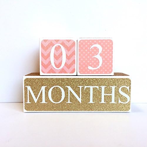 Coral and Gold Baby Age Blocks, Milestone Blocks, Photo Prop, Countdown Blocks