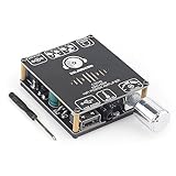 C50HS Bluetooth Amplifier Board TPA3116D2 HiFi Chip