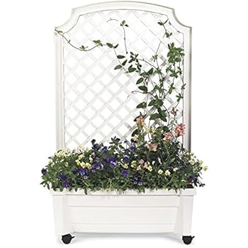 Amazon.com : DMC Products Lexington 28-Inch Rectangle