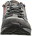 Lowa Men's Tempest Lo Hiking Shoe