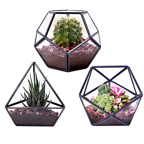 REDHUGO 5" Mini Succulent Terrarium Black Glass Geometric Planter