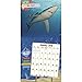 Shark Week Wall Calendar (2019)