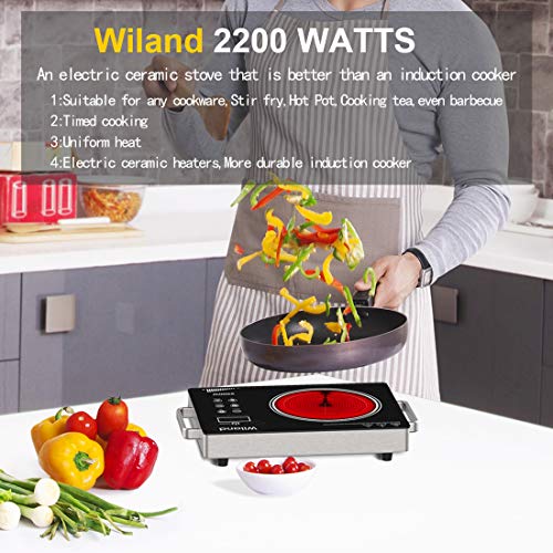 Portable Induction Cooktop induction stove Countertop Burner, 2200 W 120Volts Induction Cooker