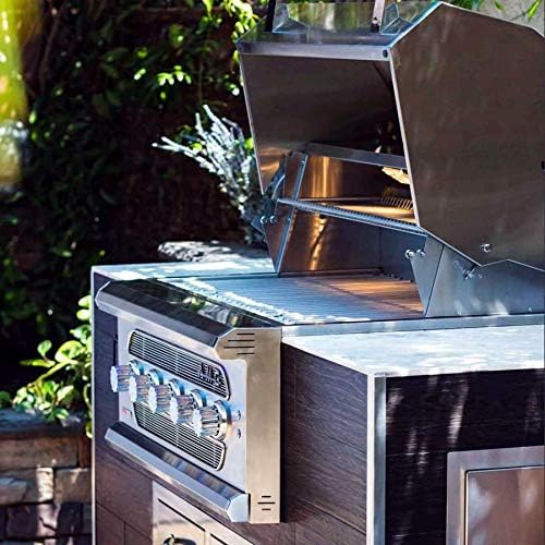 review American Muscle Grill 36-Inch 5-Burner Built-in Dual Fuel Wood/Charcoal/Propane Gas Grill - AMG36-LP