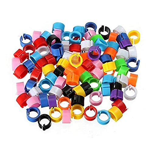 Zhou-YuXiang 100 Stück Taubenringe 8mm Bajonett Identifikationsring Öffnung Taubenring Farbe Taubenfußring Taubenzubehör