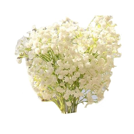 元のカスミソウ 品種 最高の花の画像